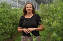 Dorota Furmaniak, Timac Agro Polska