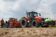 Sadzenie pomidora gruntowego