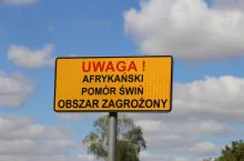 ASF obszar zagrożony