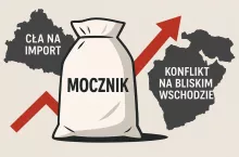 Ceny nawozów 2025