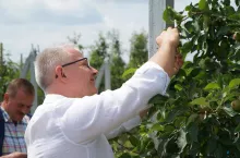 forum doradców sadowniczych