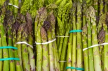 Zielone szparagi
