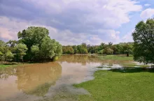Kto odpowiada za szkody powstałe w wyniku zmian w odpływie wody na gruntach?