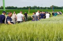 Aż 171 odmian pszenicy, rzepaku, owsa, grochu. Zobacz hity i nowości ze Strzelc