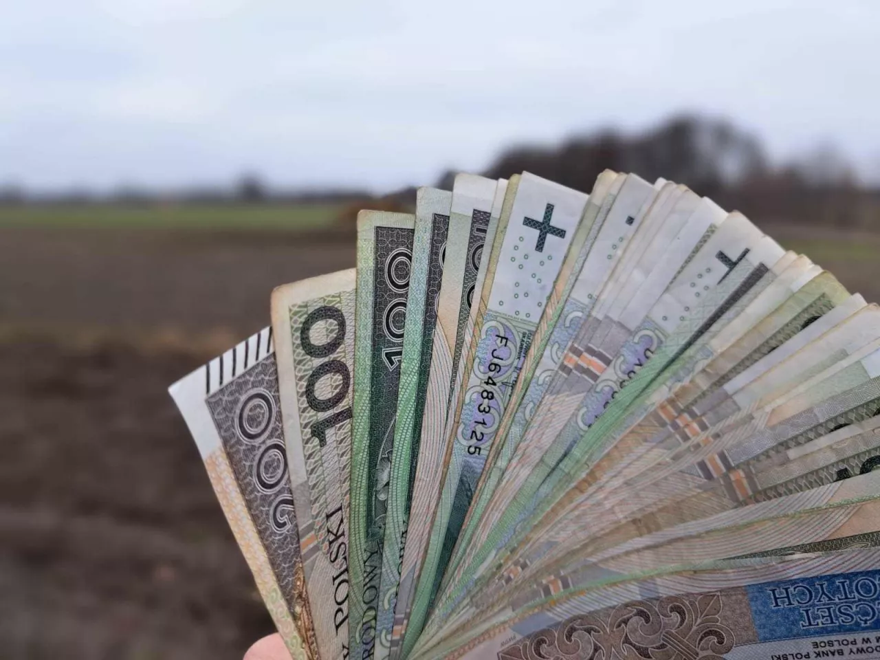 dopłaty bezpośrednie, pieniadze, pola gotówka, pole, rolnictwo