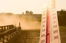 Uwaga na upały. KRUS radzi rolnikom, jak przetrwać w polu i oborze
