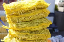 Fasolka szparagowa w workach