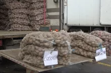 Ziemniaki z Belgii rozchwytywane na Broniszach. A polskie leżą i tanieją