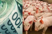 200 tys. zł dotacji na rolnictwo 4.0. Co rolnik może kupić? [LISTA]