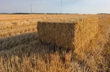 Czy za użytkowanie gruntu KOWR bez umowy są kary?