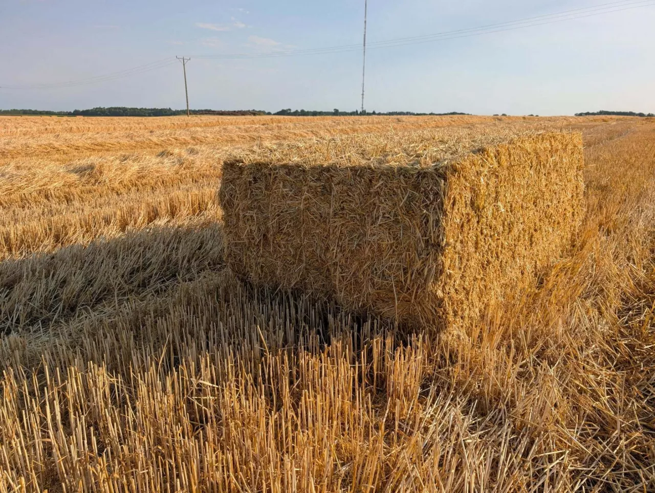 Czy za użytkowanie gruntu KOWR bez umowy są kary?