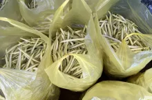 Fasolka szparagowa na rynku w Broniszach