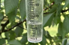 burze nad polskimi sadami