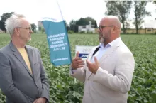 Nowe odmiany buraka cukrowego z KHBC. Dlaczego warto je wybrać?  [WIDEO]