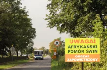 Jest czwarte ognisko ASF w Polsce. Wirus się rozpędza
