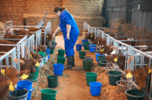 Ile wody może pobrać rolnik? Przekroczysz limit, słono zapłacisz