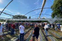 Zeszłoroczna edycja Berry Tech