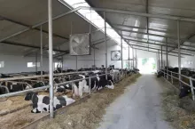Wentylatory powinny być montowane w takiej odległości od siebie, by każde kolejne urządzenie przejmowało pracę poprzedniego. Tym sposobem zapewniamy ciąg powietrza wzdłuż całej obory