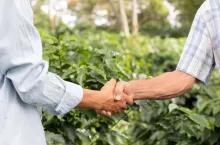 Sprzedaż gospodarstwa – o czym nie należy zapomnieć?