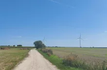 Służebność przechodu i przejazdu - co warto o niej wiedzieć?