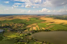 Dopłaty bezpośrednie i obszarowe 2025 – najwięcej rolników złożyło wnioski na Mazowszu i w Wielkopolsce!