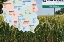 Jęczmień ozimy: Lista Odmian Zalecanych 2025
