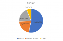 Skuteczność xentari
