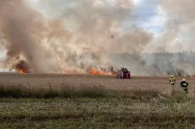 Strażacy walczący z ogniem podczas pożaru zboża na pniu