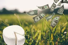 Ile kosztuje najdroższy ser świata? Kwota przyprawia o zawrót głowy