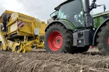 Zbiór ziemniaków kombajnem ROPA