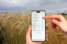 Porównywarka odmian żyta ozimego