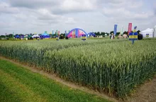 Fot. Marek Kalinowski