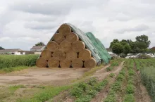 Stawiasz stóg słomy? Zobacz, jakie odległości od zabudowań i dróg musisz zachować
