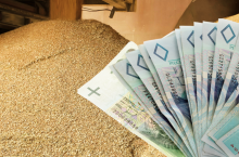 Dopłaty spadły ze 100 zł do 60 zł. Tak państwo „pomaga” rolnikom w zakupie nasion
