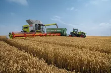 Kiedy rolnik w żniwa w polu, jego gospodarstwo narażone jest na kradzież