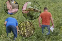 Gradobicie Hrubieszów