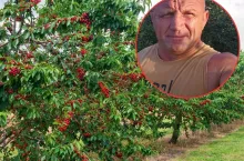 Kataklizm w sadzie Pudziana. ”Zbiorę 3-4 kg”