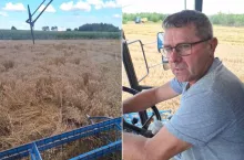 Żniwa u Janusza Terki z Solidarności Rolników Piotrków