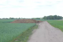 Wodorost zmieszany z obornikiem