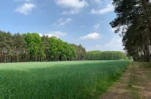 Służebność drogi koniecznej - kiedy mamy do czynienia z taką sytuacją?