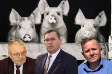 Rolnicy alarmują Krajewskiego: mniej świń to większa susza