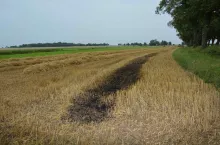 Właśnie po tym pożarze słomy na polu wpadł 25-latek.