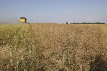 Jak szybko oczyścić kombajn po żniwach? Ceny i przegląd dmuchaw - zdjęcie poglądowe