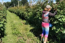 Zmowa cenowa? Jest wniosek do UOKiK