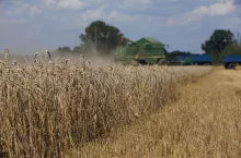 Żniwa 2025: Najtrudniejszy sezon od lat? Rolnicy kontra deszcz, błoto i niskie ceny - zdjęcie poglądowe