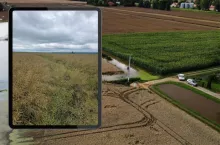 Rzepaki stoją, buraki gniją. Czy rząd ogłosi stan klęski żywiołowej?