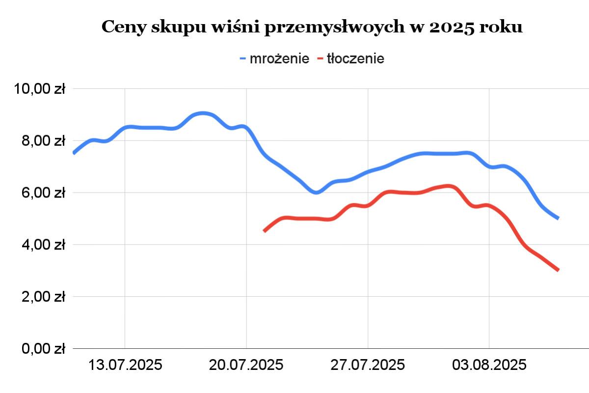Dane własne. Opracowanie własne