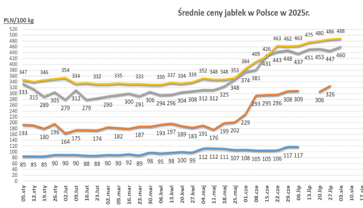 źródło: ZINTEGROWANY SYSTEM ROLNICZEJ INFORMACJI RYNKOWEJ RYNEK OWOCÓW I WARZYW ŚWIEŻYCH NR 31/2025