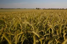 Na otwarcie bez podpisu jedno z 3 do wyboru