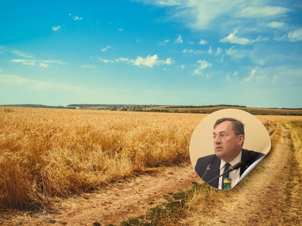 Rolnicy czekają na pieniądze. ARiMR milczy, ale minister obiecuje zmiany